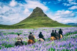 Comment se rapprocher de la nature à lamanière des vieux islandais