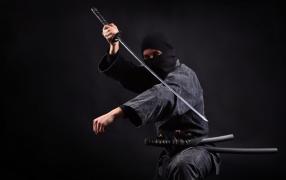 Au Japon féodal, les ninjas (ou shinobis) étaient une classe inférieure de guerriers souvent recrutés par les samouraïs et les gouvernements pour agir comme espions.