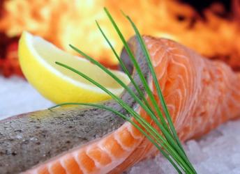 Secrets de la pêche et du poisson pour les futurs cuisiniers