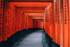 Possibilité de faire un combiné Tokyo Kyoto