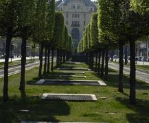 L'objectif du projet situé dans le plus vieux parc municipal de Budapest est de créer un quartier des musées de la capitale. D’une part ils souhaitent reconstruire ou élargir les instit