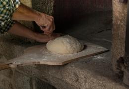 Fabrication des petits pains au levain et visite du moulin & four à pain puis rencontrz avec le boulanger.